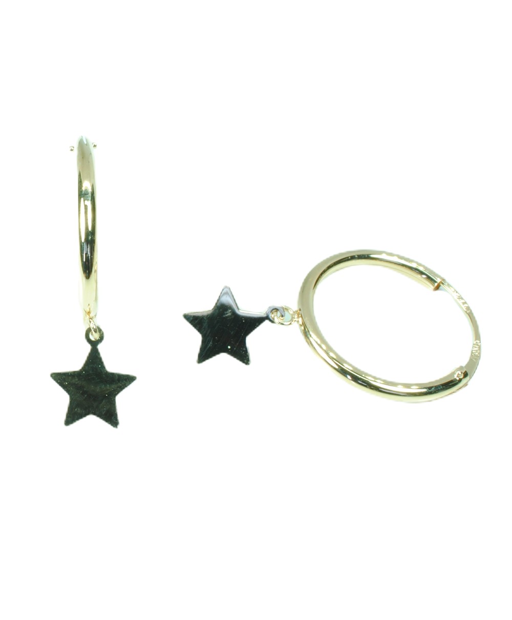 Pendientes de oro amarillo 317033-1 de Joyería Roberto Pendientes de oro amarillo 317033-1 de Joyería Roberto