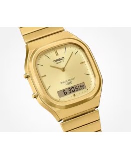 Reloj Casio AQ-240EG-9A